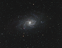 M33